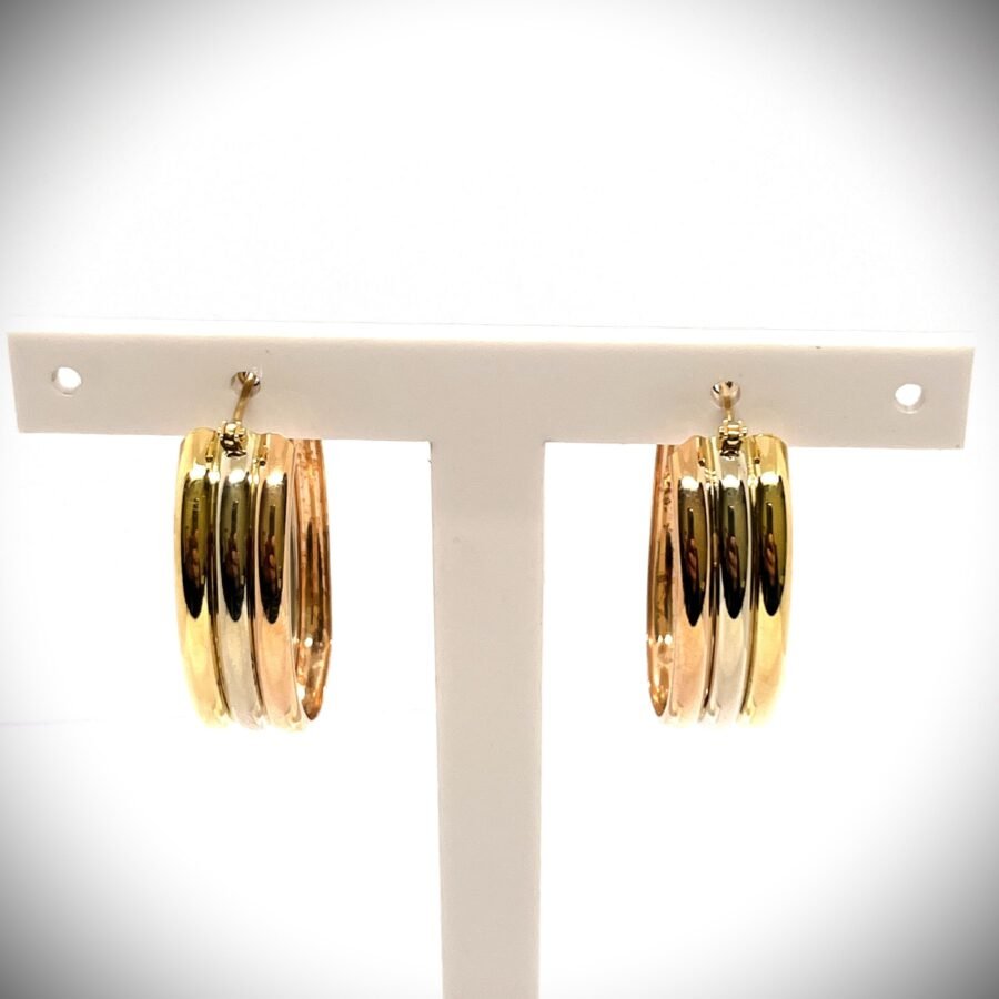 Orecchini Cerchio Donna Oro Bianco Giallo Rosa 18kt 750%